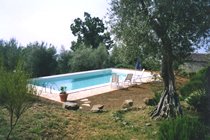 Realizzazione giardino su misura